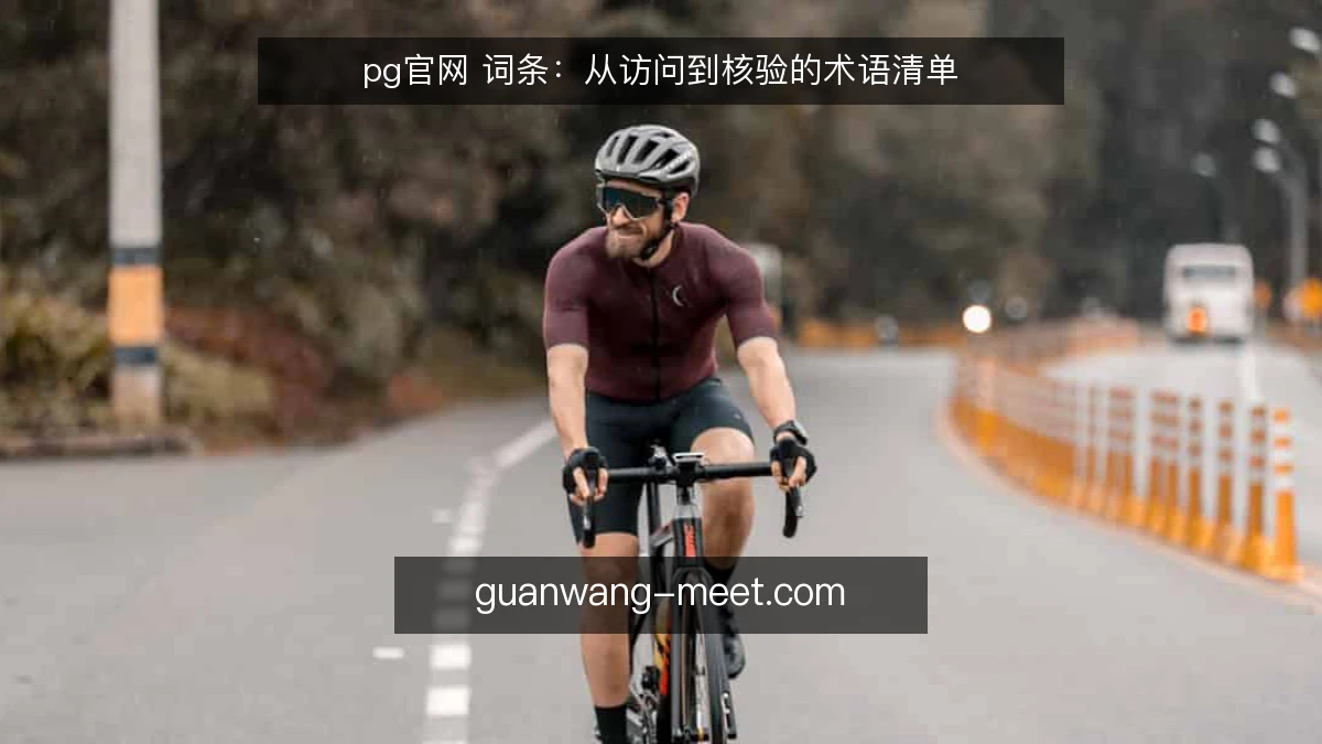 pg官网 词条：从访问到核验的术语清单