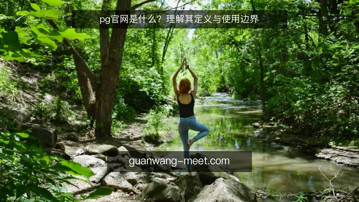 pg官网是什么？理解其定义与使用边界