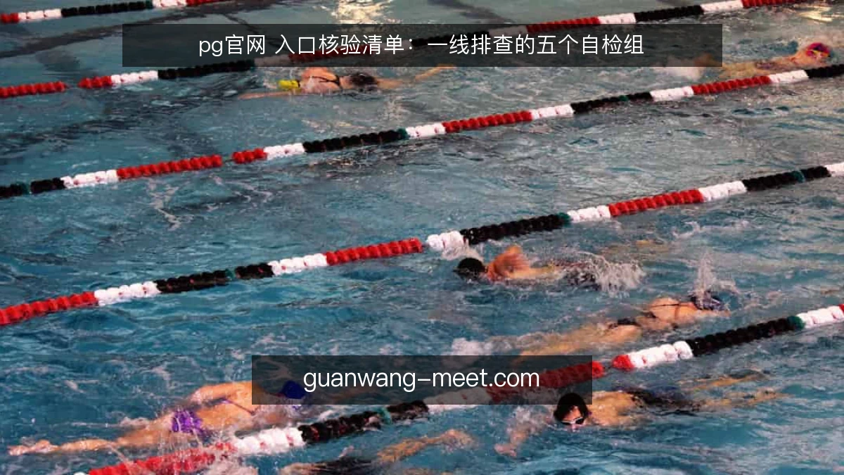 pg官网 入口核验清单：一线排查的五个自检组