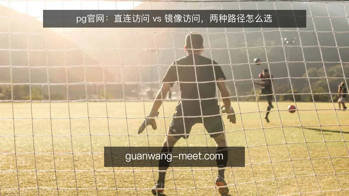 pg官网：直连访问 vs 镜像访问，两种路径怎么选
